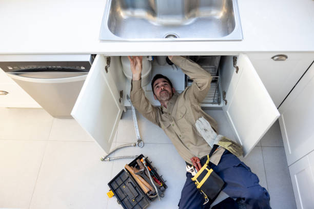 Best Leak Detection Services  in Park Ridge, IL