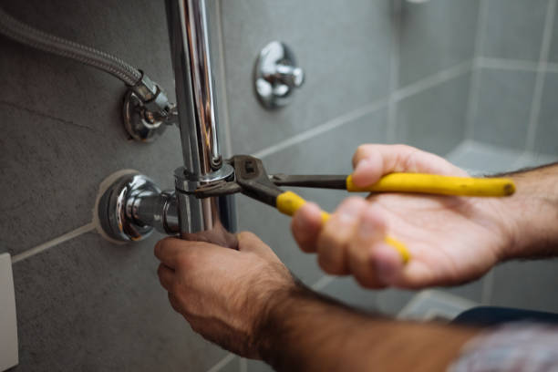 Best Plumbing Repair Near Me  in Park Ridge, IL