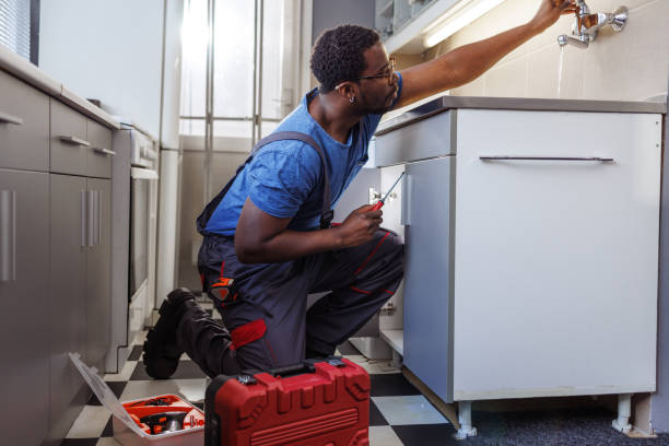 Best Shower Repair Services  in Park Ridge, IL
